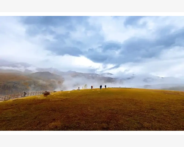 肺部纤维化，痰多胸闷：中医科普解析